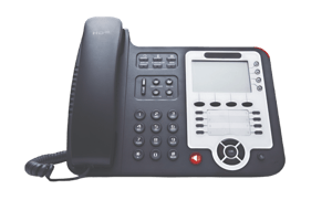 IVR Telephone Screenshot